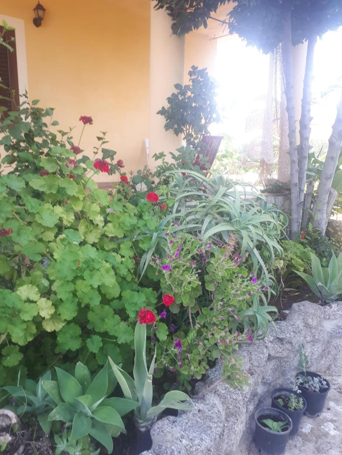 A Turri Hotel Capo Vaticano Exterior photo