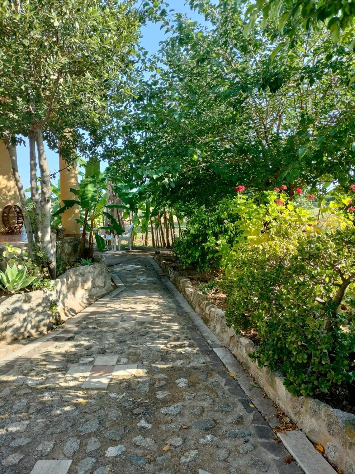 A Turri Hotel Capo Vaticano Exterior photo
